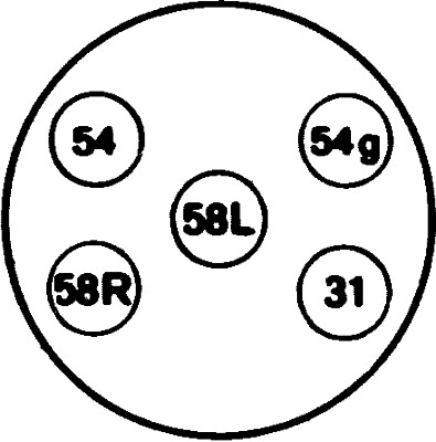 Socket - 8JB 001 940-001 HELLA