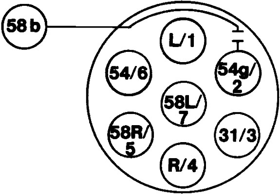 Socket - 8JB 001 943-011 HELLA