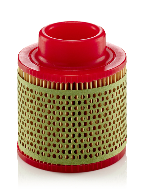 Air Filter - C 1131 MANN-FILTER