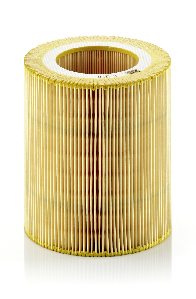 Filtro aria - C 1250 MANN-FILTER