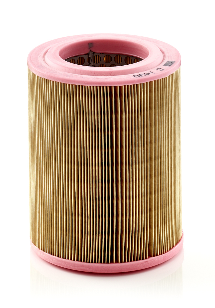 Filtro aria - C 1430 MANN-FILTER