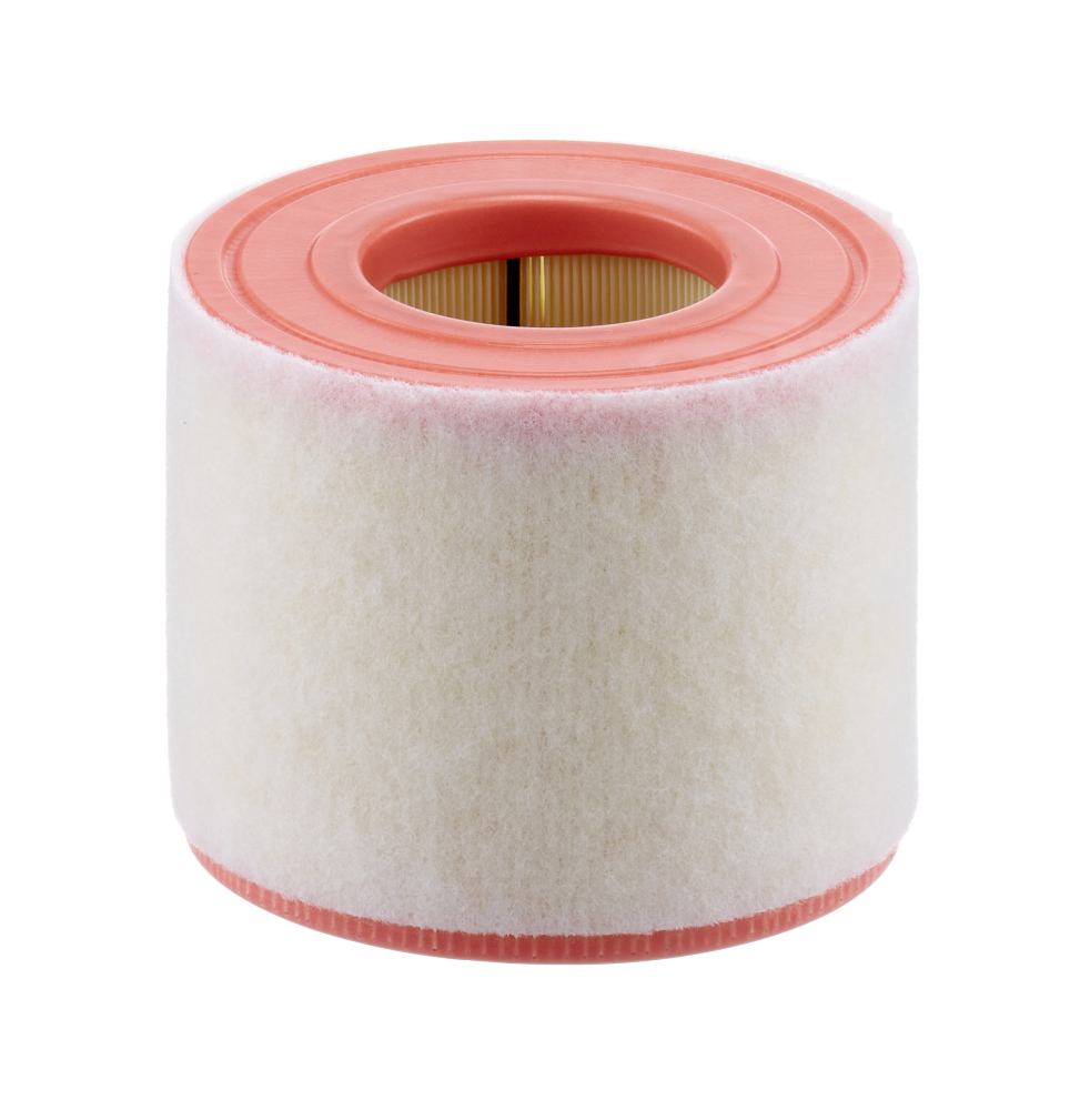 Air Filter - C 15 010 MANN-FILTER