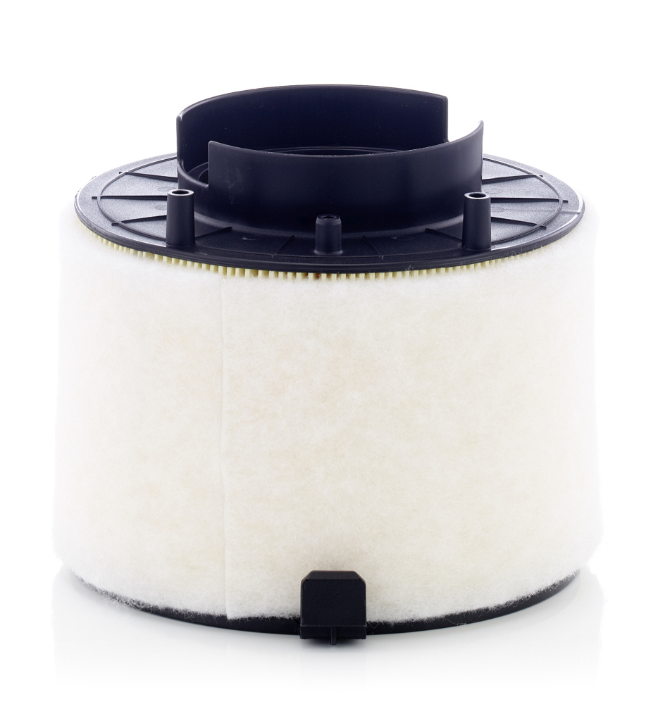 Air Filter - C 17 009 MANN-FILTER