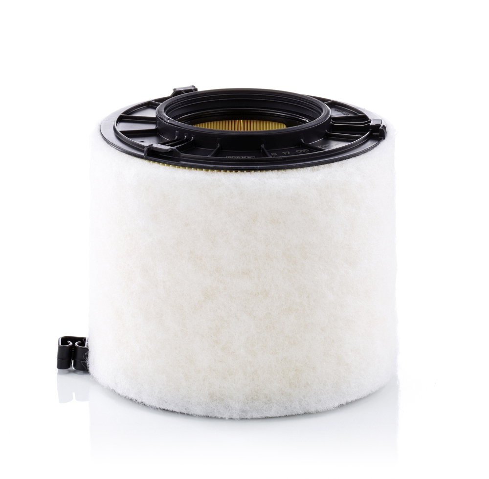 Air Filter - C 17 010 MANN-FILTER
