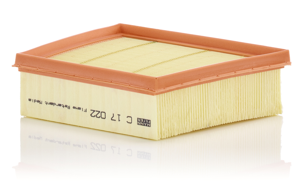 Air Filter - C 17 022 MANN-FILTER