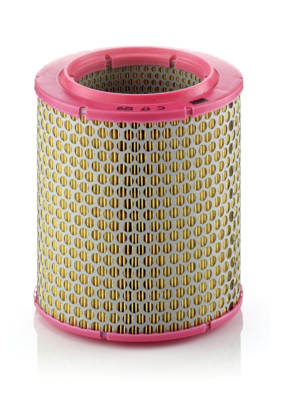 Filtro aria - C 17 129 MANN-FILTER