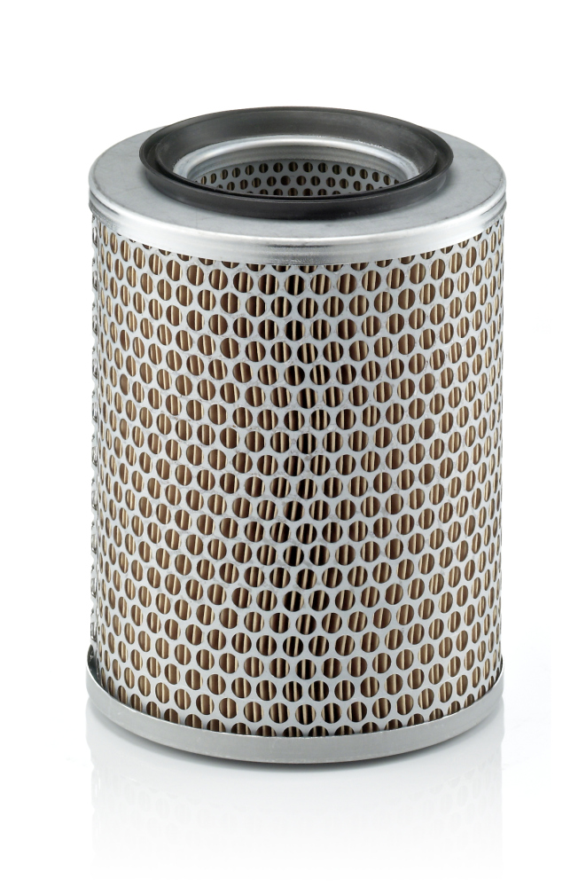 Air Filter - C 17 134 MANN-FILTER