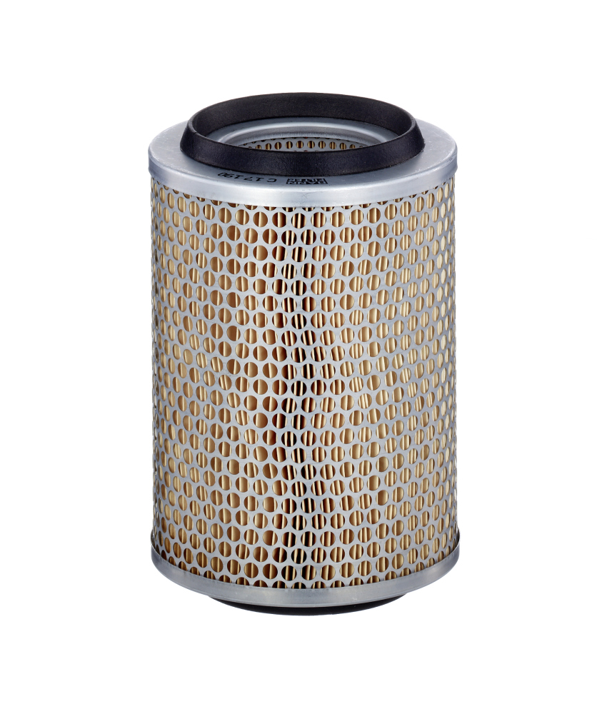 Luftfilter - C 17 190 MANN-FILTER