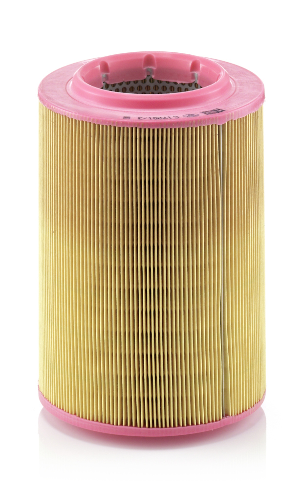 Filtro aria - C 17 201/3 MANN-FILTER