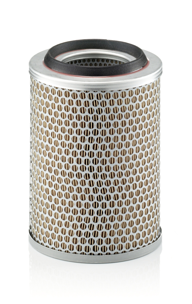 Air Filter - C 17 217 MANN-FILTER
