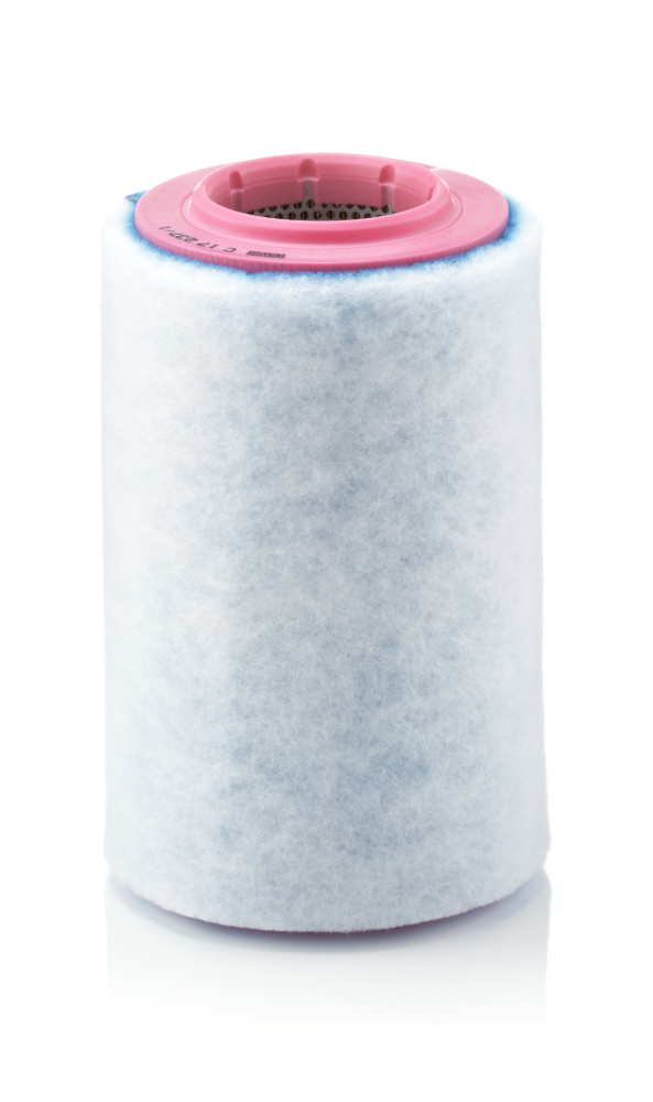 Air Filter - C 17 237/1 MANN-FILTER