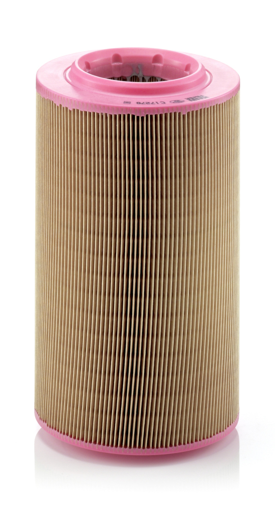 Air Filter - C 17 278 MANN-FILTER