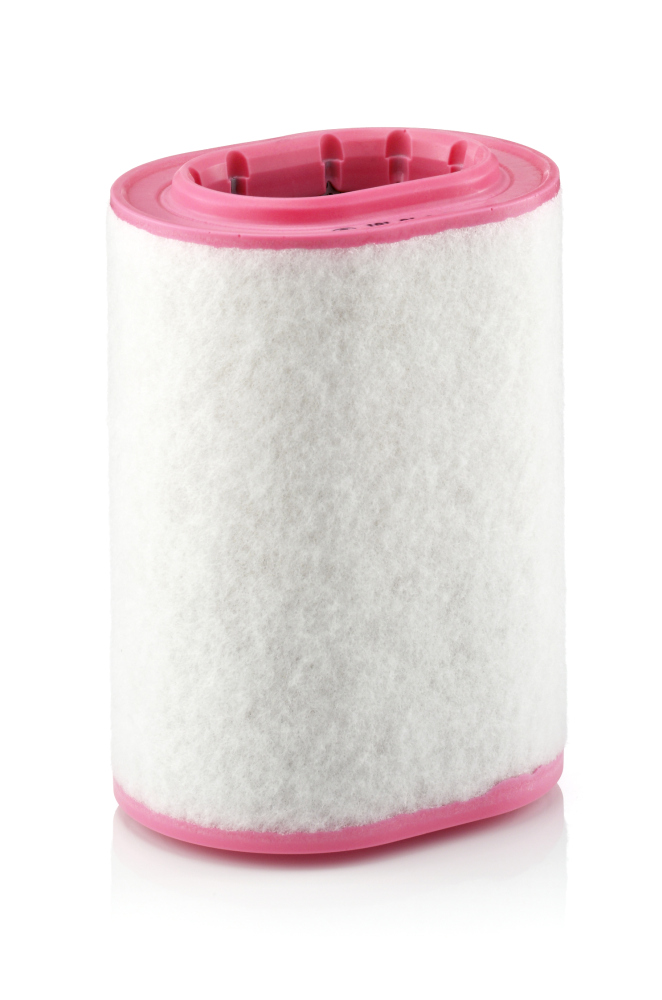 Air Filter - C 18 161 MANN-FILTER