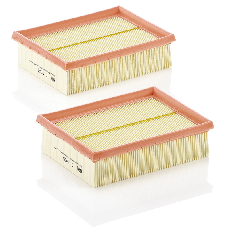Filtro aria - C 1955-2 MANN-FILTER