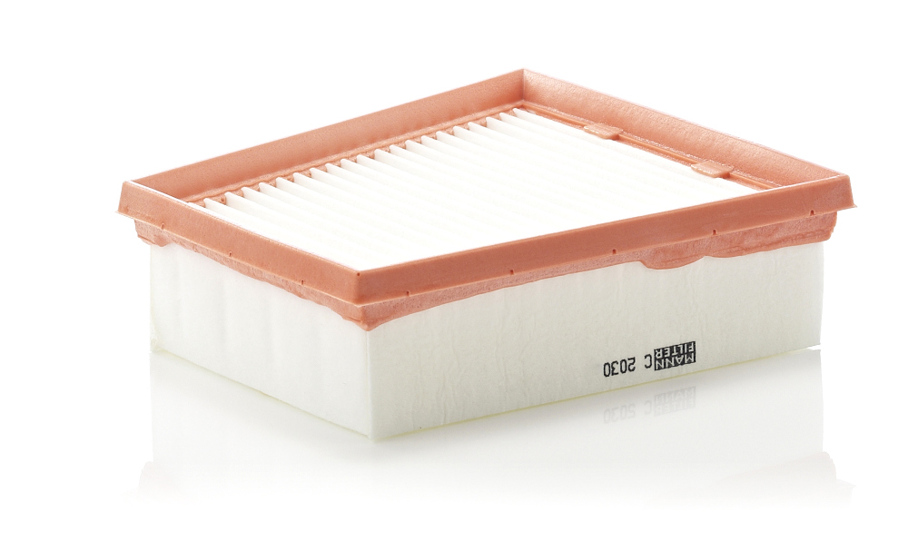 Filtro aria - C 2030 MANN-FILTER