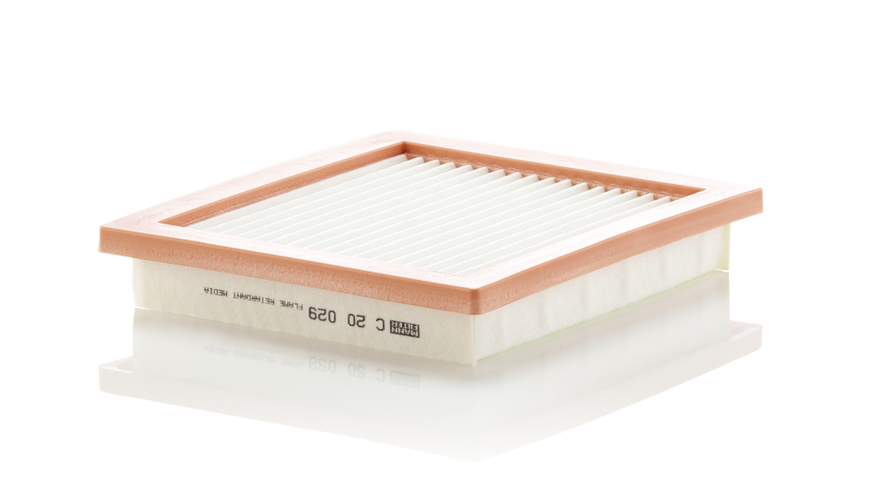 Air Filter - C 20 029 MANN-FILTER