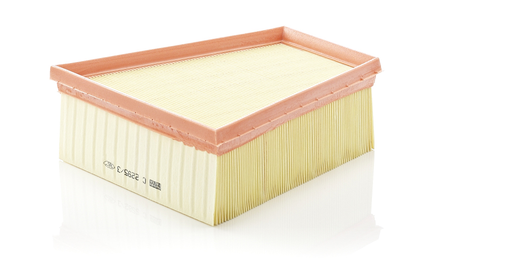 Filtro aria - C 2295/3 MANN-FILTER