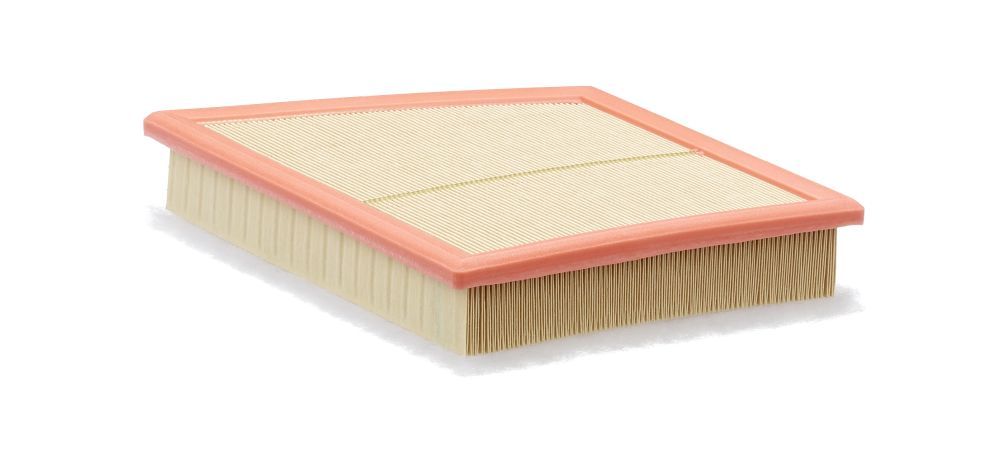 Air Filter - C 22 018 MANN-FILTER