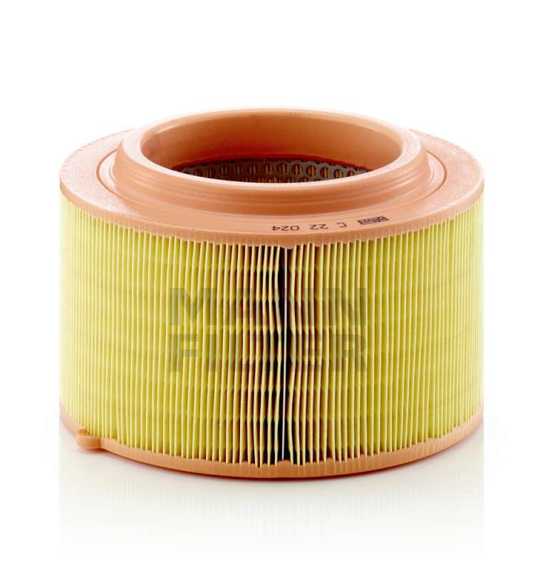 Filtro aria - C 22 024 MANN-FILTER