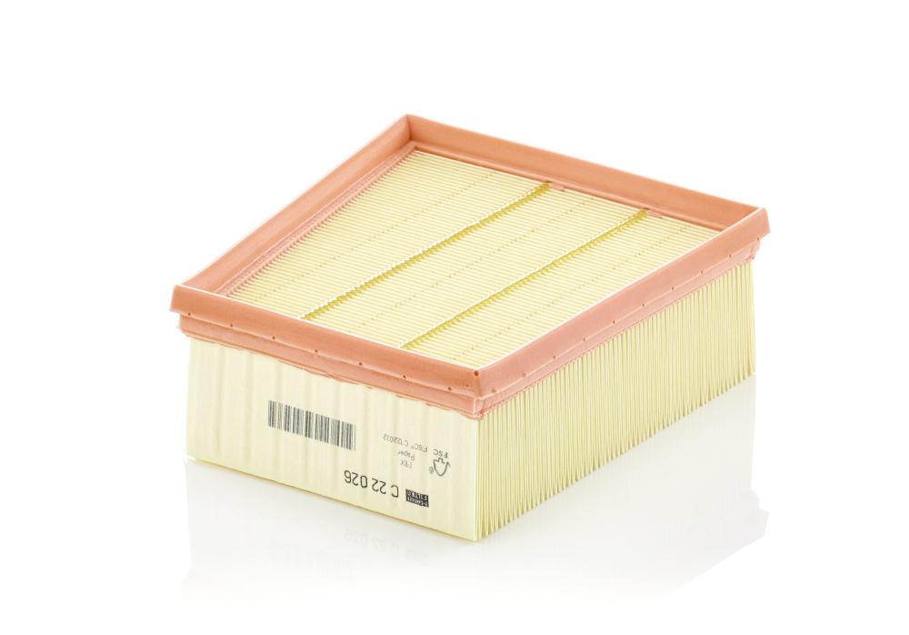 Filtro aria - C 22 026 MANN-FILTER