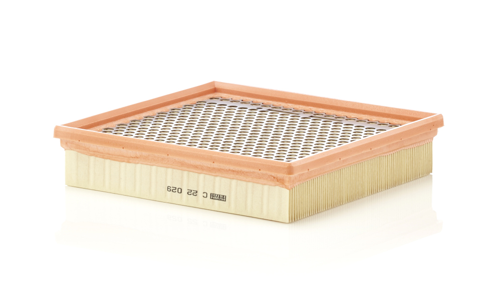 oro filtras - C 22 029 MANN-FILTER