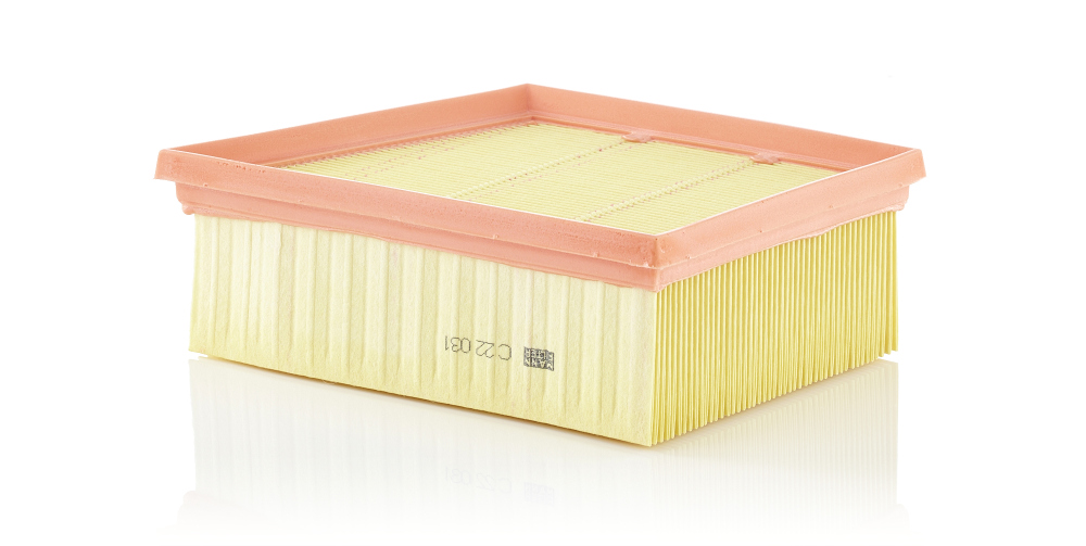 Filtro aria - C 22 031 MANN-FILTER