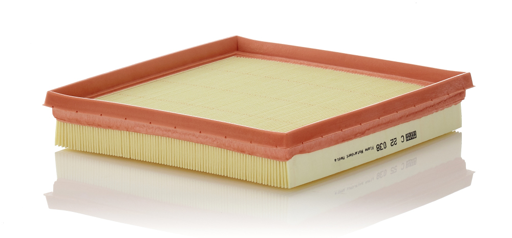 Air Filter - C 22 038 MANN-FILTER