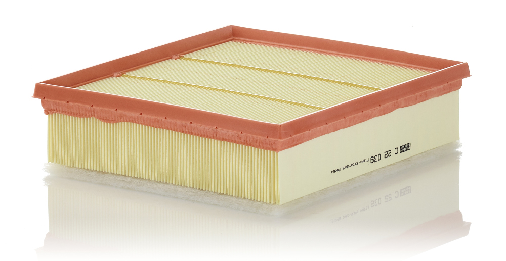 Air Filter - C 22 039 MANN-FILTER