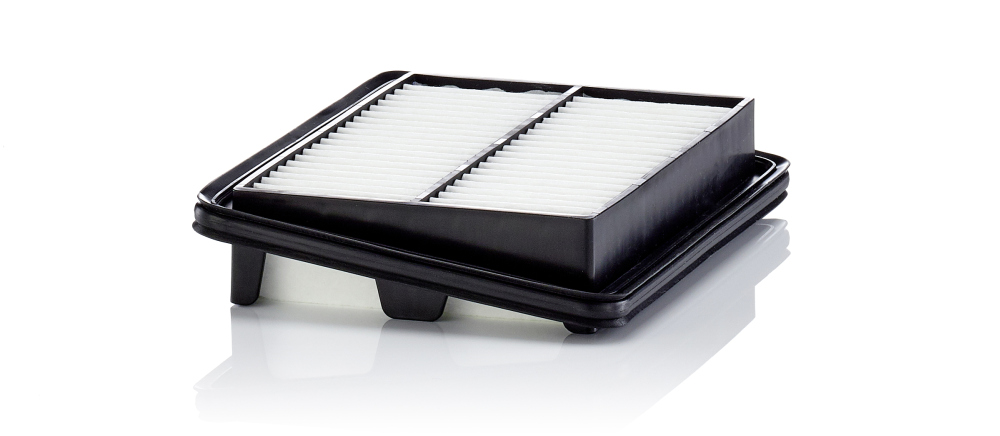 Filtro aria - C 22 060 MANN-FILTER