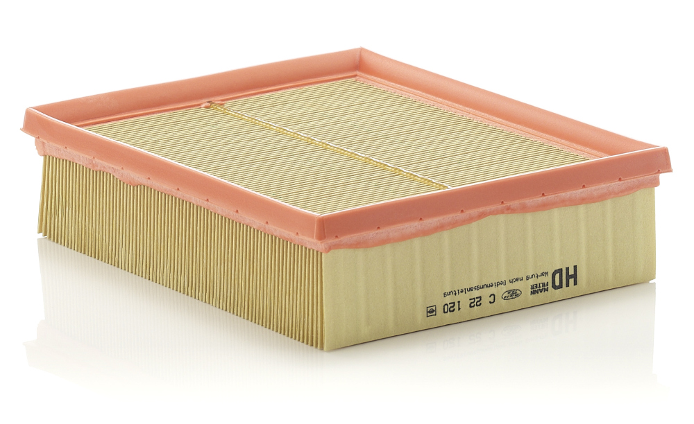 Air Filter - C 22 120 MANN-FILTER