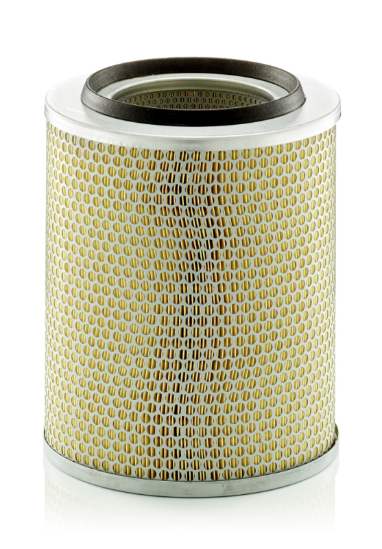 Air Filter - C 24 393 MANN-FILTER