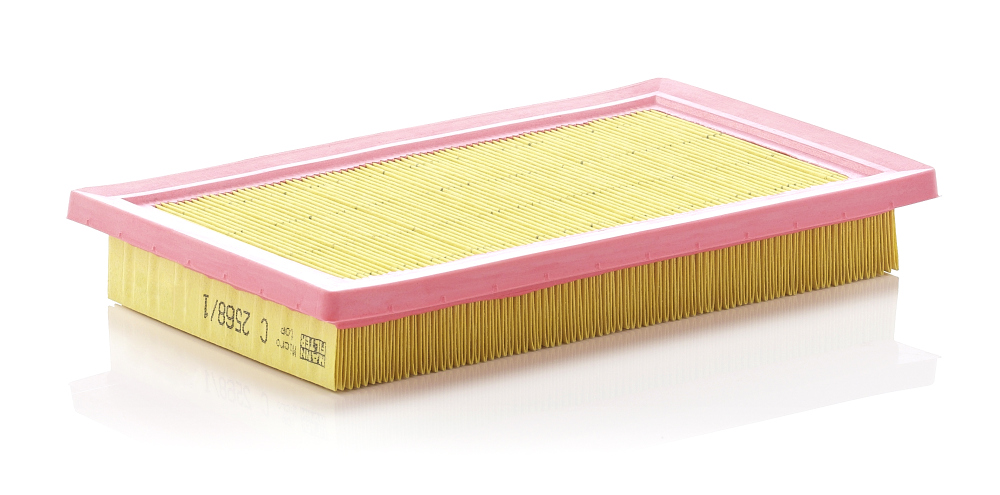 Air Filter - C 2568/1 MANN-FILTER