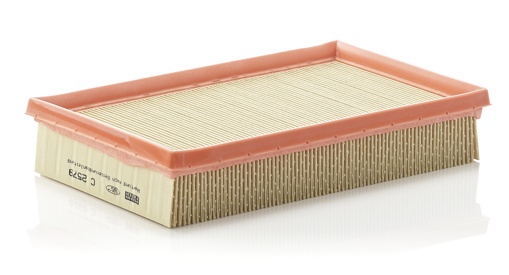 Filtro aria - C 2579 MANN-FILTER