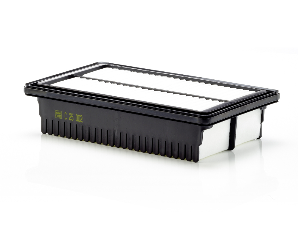 Filtro aria - C 25 002 MANN-FILTER