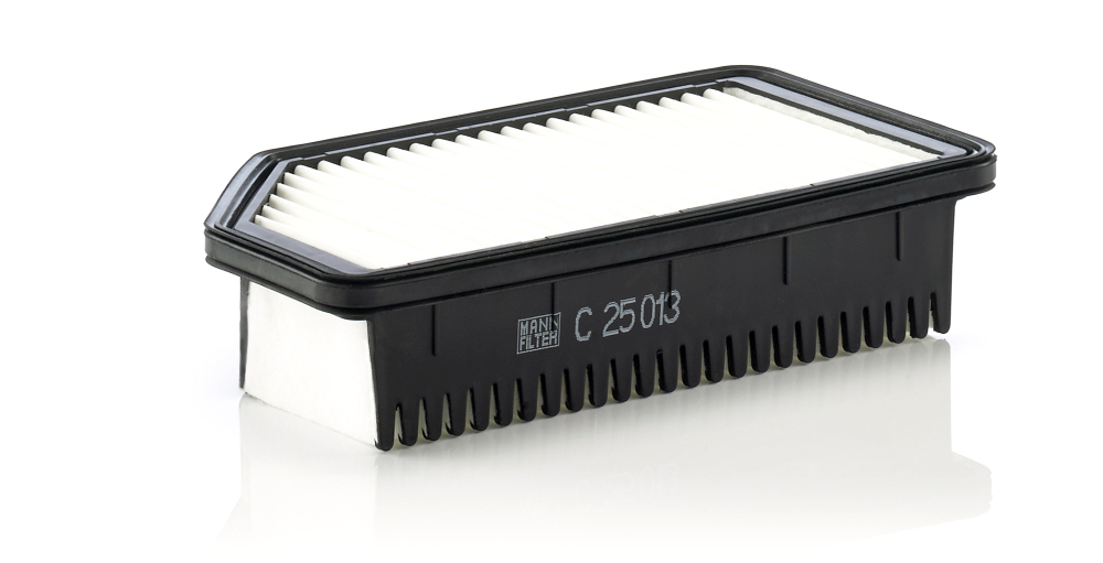 Air Filter - C 25 013 MANN-FILTER