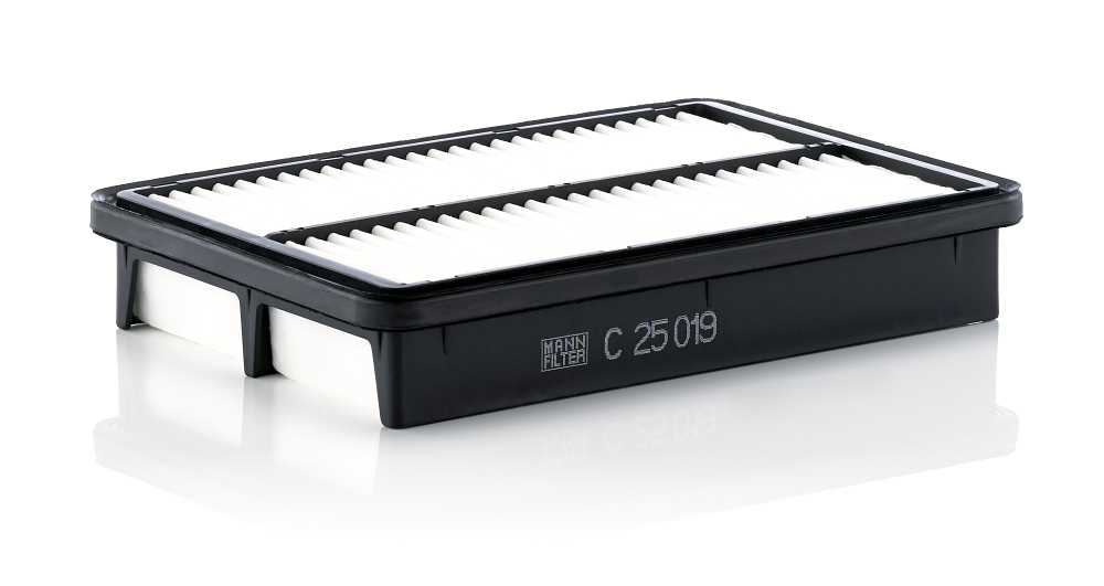 Filtro aria - C 25 019 MANN-FILTER