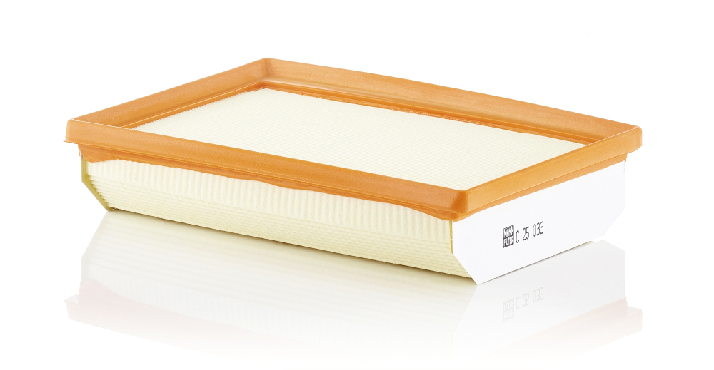 Filtro aria - C 25 033 MANN-FILTER