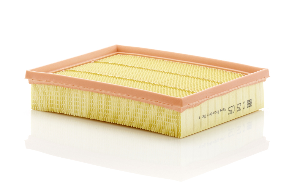 Air Filter - C 25 035 MANN-FILTER