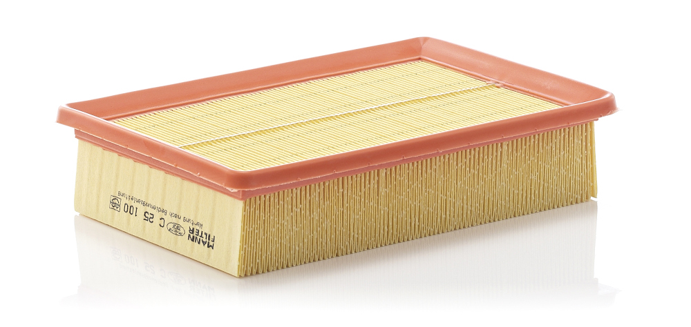 Air Filter - C 25 100 MANN-FILTER