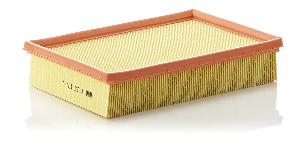 Air Filter - C 25 101/1 MANN-FILTER