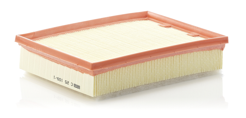 Air Filter - C 25 109/1 MANN-FILTER