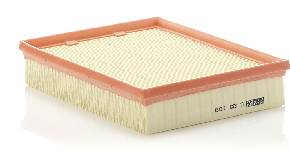 oro filtras - C 25 109 MANN-FILTER