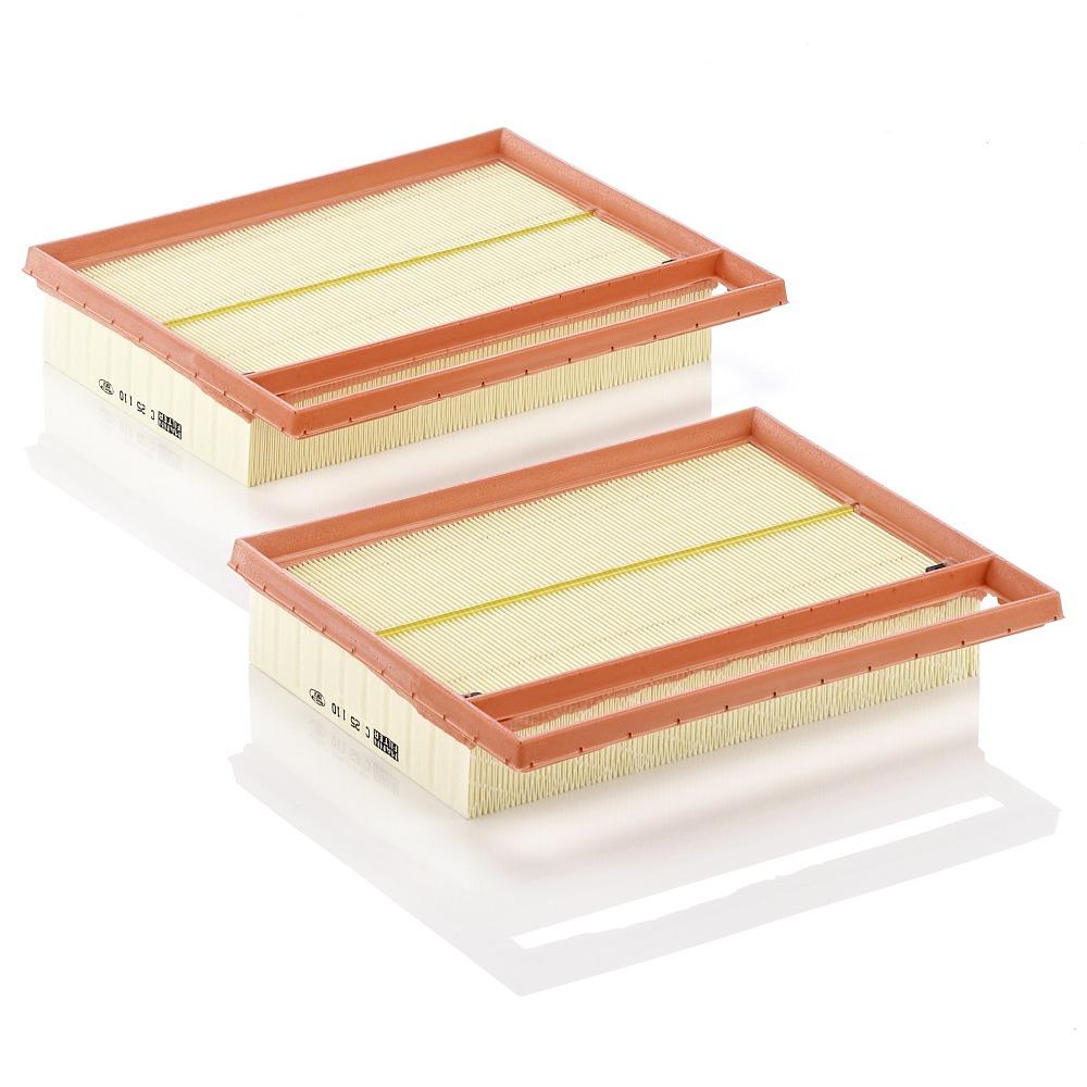 Filtro aria - C 25 110-2 MANN-FILTER
