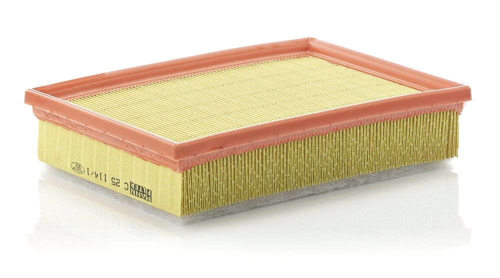 Air Filter - C 25 114/1 MANN-FILTER