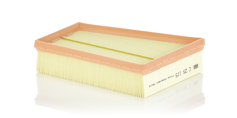 Filtro aria - C 25 115 MANN-FILTER