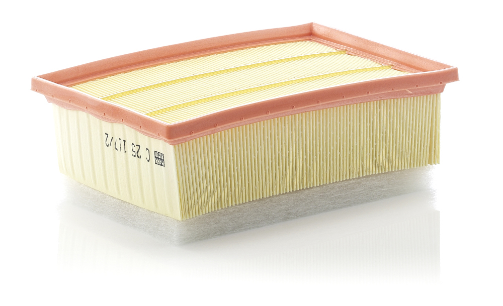 Filtro aria - C 25 117/2 MANN-FILTER