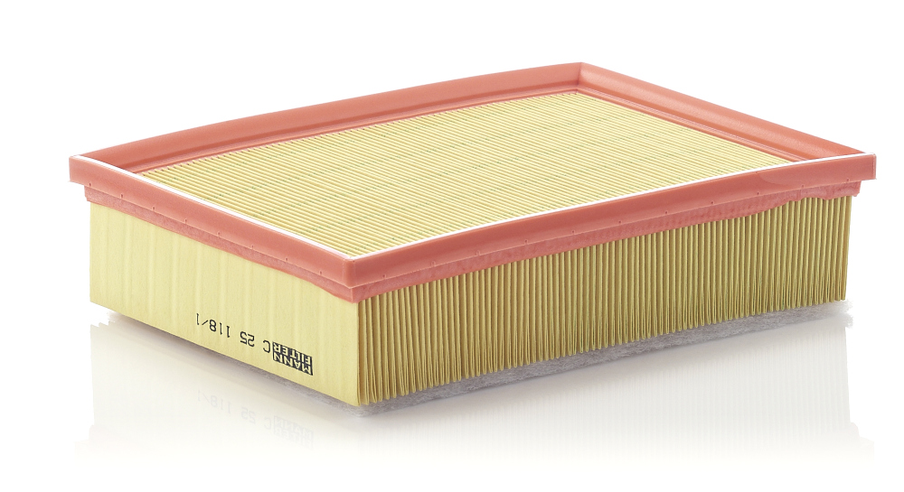 Air Filter - C 25 118/1 MANN-FILTER