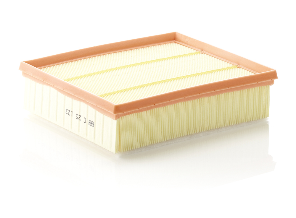 Air Filter - C 25 122 MANN-FILTER