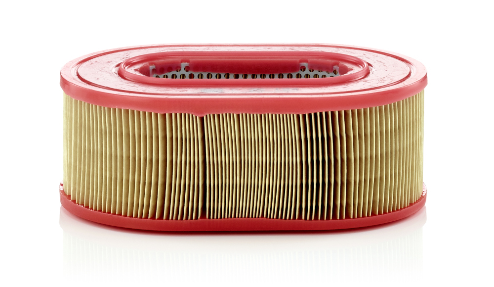 Air Filter - C 25 124 MANN-FILTER