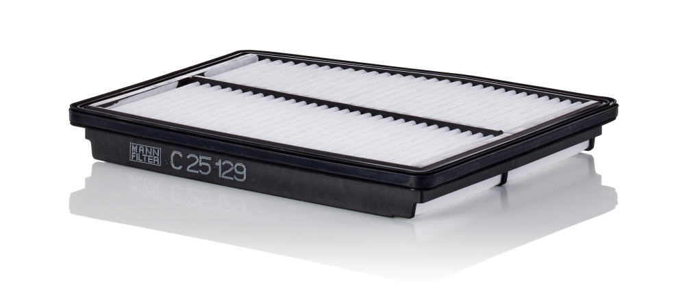 Luftfilter - C 25 129 MANN-FILTER